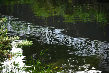 An artistic and beautiful scene drawn by the surface of the water. Background material of natural...