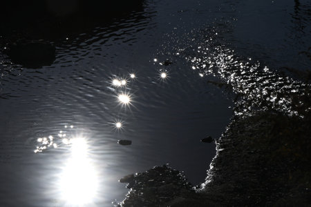 An artistic and beautiful scene drawn by the surface of the water. Background material of natural scenery created by water.の写真素材