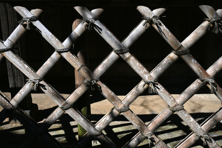 Japanese traditional bamboo hedge. You can see through the gaps in the bamboo, and its beautiful curves blend in with the Japanese garden.の写真素材