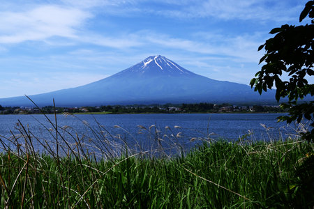 Tourism in Japan. Mount Fuji seen from Lake Kawaguchi in Yamanashi Prefecture in June. I'm looking forward to the mountain opening in July.の写真素材