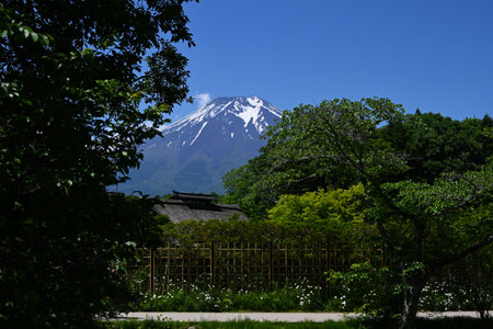 Tourism in Japan. Mount Fuji seen from Lake Kawaguchi in Yamanashi Prefecture in June. I'm looking forward to the mountain opening in July.の写真素材