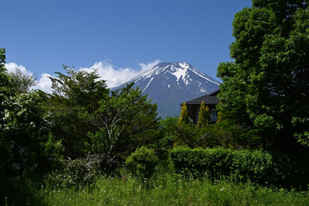 Tourism in Japan. Mount Fuji seen from Lake Kawaguchi in Yamanashi Prefecture in June. I'm looking forward to the mountain opening in July.の写真素材