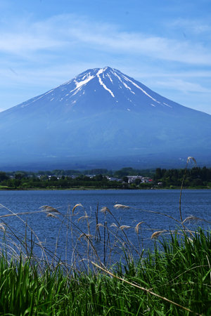 Tourism in Japan. Mount Fuji seen from Lake Kawaguchi in Yamanashi Prefecture in June. I'm looking forward to the mountain opening in July.の写真素材