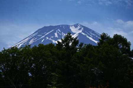 Tourism in Japan. Mount Fuji seen from Lake Kawaguchi in Yamanashi Prefecture in June. I'm looking forward to the mountain opening in July.の写真素材