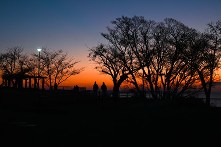 A winter scene. The bare branches after all the leaves have fallen are also elegant and beautiful.