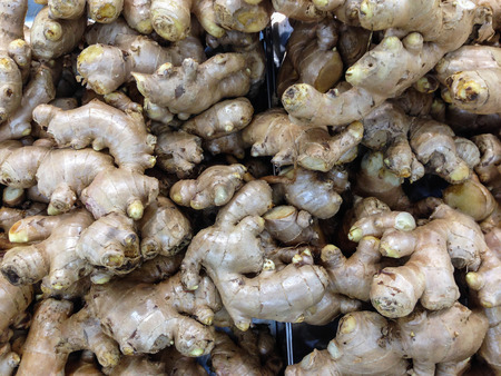 Ginger in the shop
