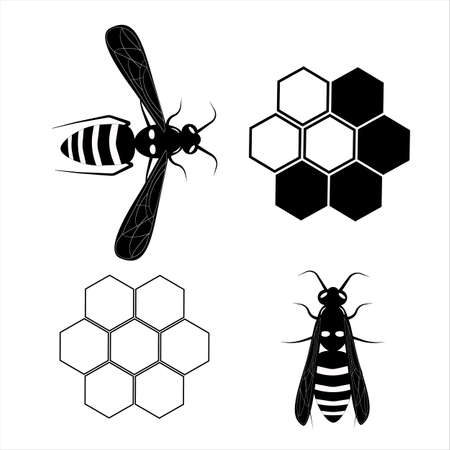 Flying wasp. Honey bee. Botany illustration. Insect animal, exotic. Vector isolated on white backdrop. Honeycomb.のイラスト素材