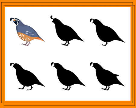 Game for kids find the right shadow. Choose the right shade for the quail. Purple quail on a white background. Vector illustrationのイラスト素材