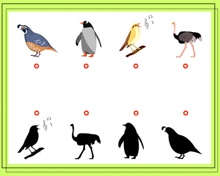 Game for kids find the right shadow. Choose the right shade for the birds. Quail, nightingale, penguin, ostrich. Vector illustrationのイラスト素材