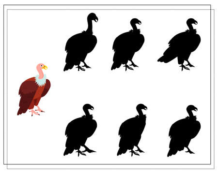 a game for preschool children. find the right shadow. Vulture, bird. Vector illustration isolated on a white background.のイラスト素材