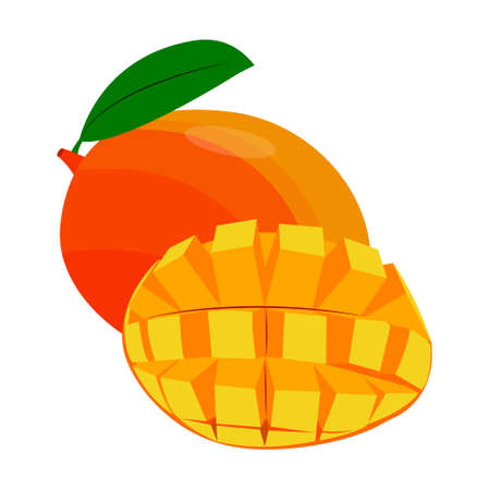 mango whole and half. vector isolated on a white backgroundのイラスト素材