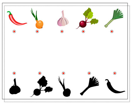 puzzle game for kids find the right shade, vegetables. chili pepper, onion, garlic, beetroot, leek. vector isolated on a white backgrounのイラスト素材
