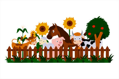 Farm animals, cow and calf, pig, sheep, horse are standing at the fence, sunflowers, corn, apple tree are blooming. Illustration of a summer countryside, a pretty farm. Vector isolatedのイラスト素材