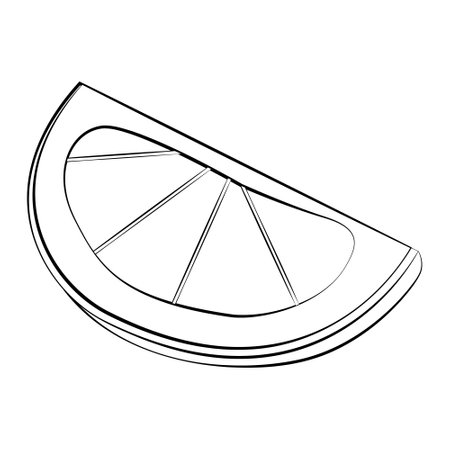 A slice of orange with a thin line. Vector on a white backgroundのイラスト素材
