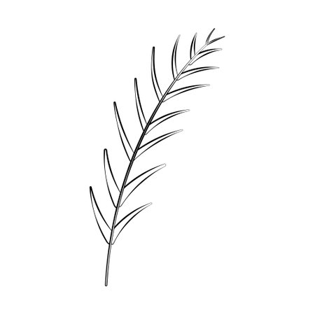 A twig of a plant and a flower with a thin line. Vector on a white backgroundのイラスト素材