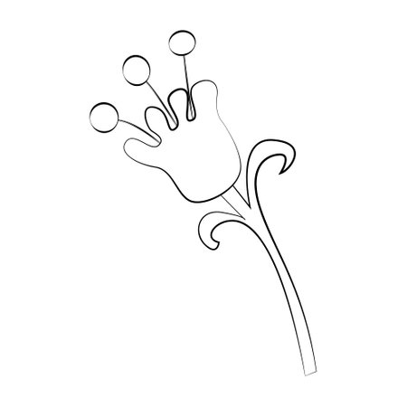 A twig of a plant and a flower with a thin line. Vector on a white backgroundのイラスト素材