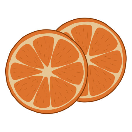 Orange slices. vector illustration on a white backgroundのイラスト素材