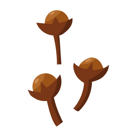 Spices are cloves. vector illustration on a white background.のイラスト素材