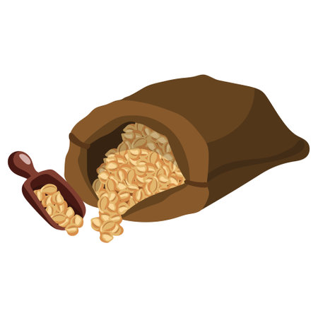 Chickpeas . Vector illustration on a white backgroundのイラスト素材