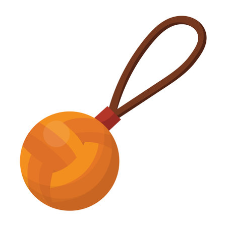 A toy for dogs and cats - a ball on a string. vector illustration isolated on a white background.のイラスト素材