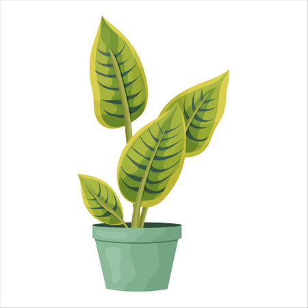 Vector illustration of a potted houseplant with leavesのイラスト素材