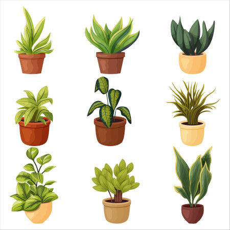 A set of potted indoor plants. Vector illustration on a transparent background.のイラスト素材