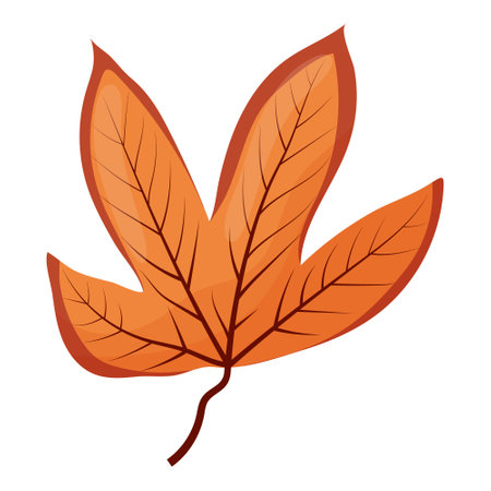 autumn colored bright leaf highlighted on a white background. vector illustrationのイラスト素材