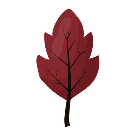 autumn colored bright leaf highlighted on a white background. vector illustrationのイラスト素材