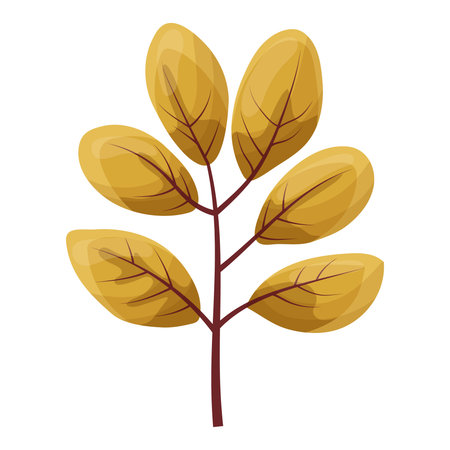 autumn colored bright leaf highlighted on a white background. vector illustrationのイラスト素材