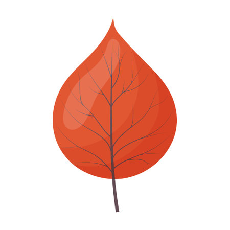 autumn colored bright leaf highlighted on a white background. vector illustrationのイラスト素材