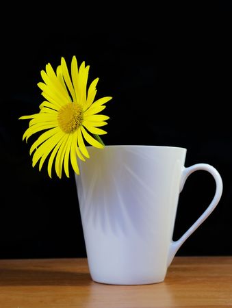 Camomile in a white cup on a black backgroundの写真素材