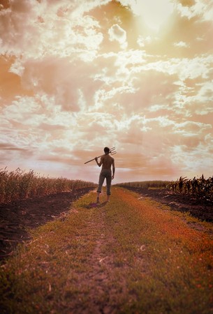 A man standing in field of wheatの写真素材