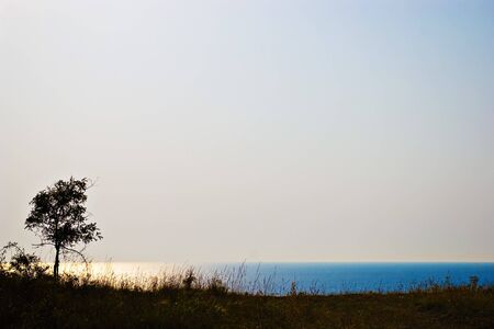 Daybreak on a beautiful bay with the tree in the foregroundの写真素材