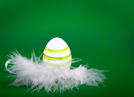 easter egg in white feathers nestの写真素材