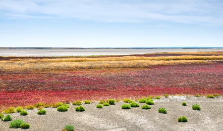 white salt lake under blue skyの写真素材
