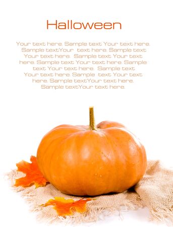 Pumpkinsの写真素材