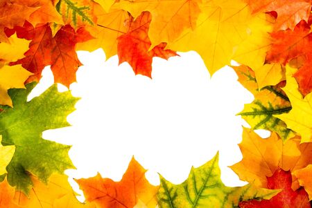 Autumn card of colored leafsの写真素材