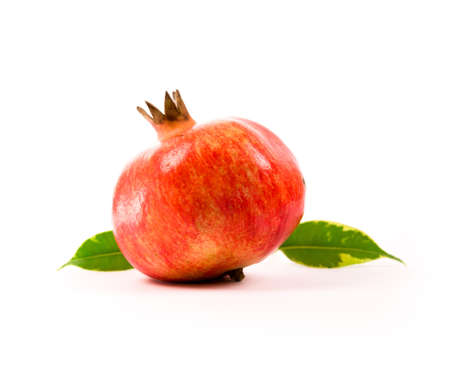 pomegranateの写真素材