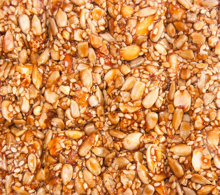 Honey bears with sunflower seeds on a white backgroundの写真素材