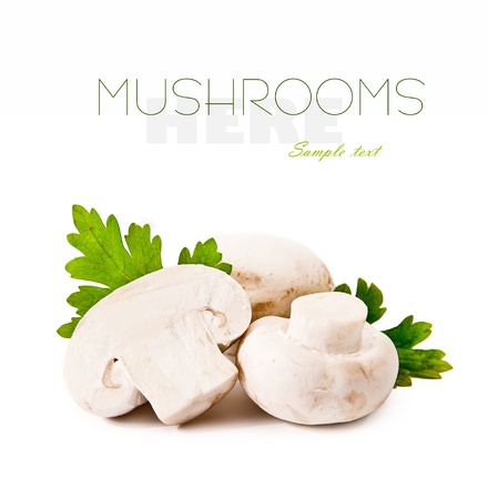 fresh raw  mushrooms  on a white backgroundの写真素材