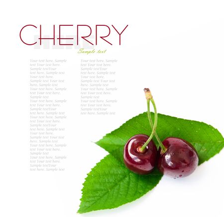 red cherries on a white backgroundの写真素材