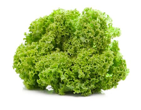 green leaves lettuce isolated on white backgroundの写真素材