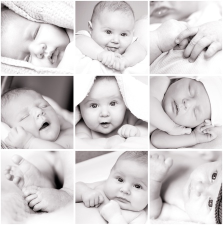 collage of black-and-white baby s photosの写真素材