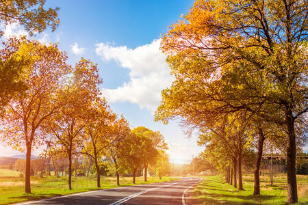 A winding road curves through autumn treesの写真素材