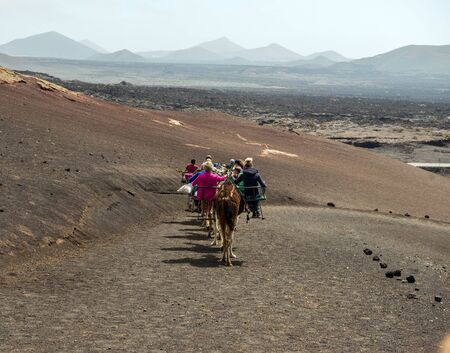 TIMANFAYA - MARCH 31: Tourists taking a camel ride on March 31, 2015 in Timanfaya National Park, Lanzarote island, Spain. The parkland is entirely made up of volcanic soil.のeditorial素材