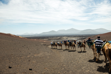 TIMANFAYA - MARCH 31: Tourists taking a camel ride on March 31, 2015 in Timanfaya National Park, Lanzarote island, Spain. The parkland is entirely made up of volcanic soil.のeditorial素材