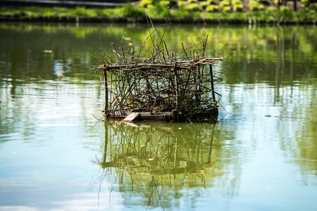 house for ducks in lake parkの写真素材