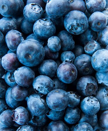 Freshly picked blueberries as backgroundの写真素材
