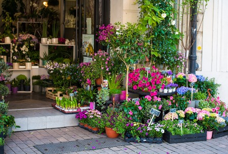 entrance into a small flower shopの写真素材