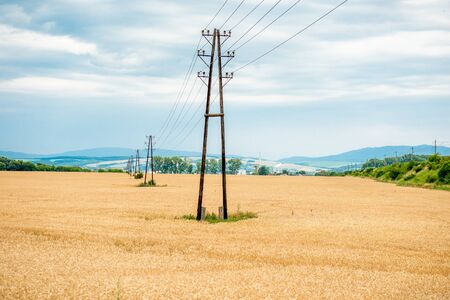 Electric poles in a wheat field under the beautiful clouds